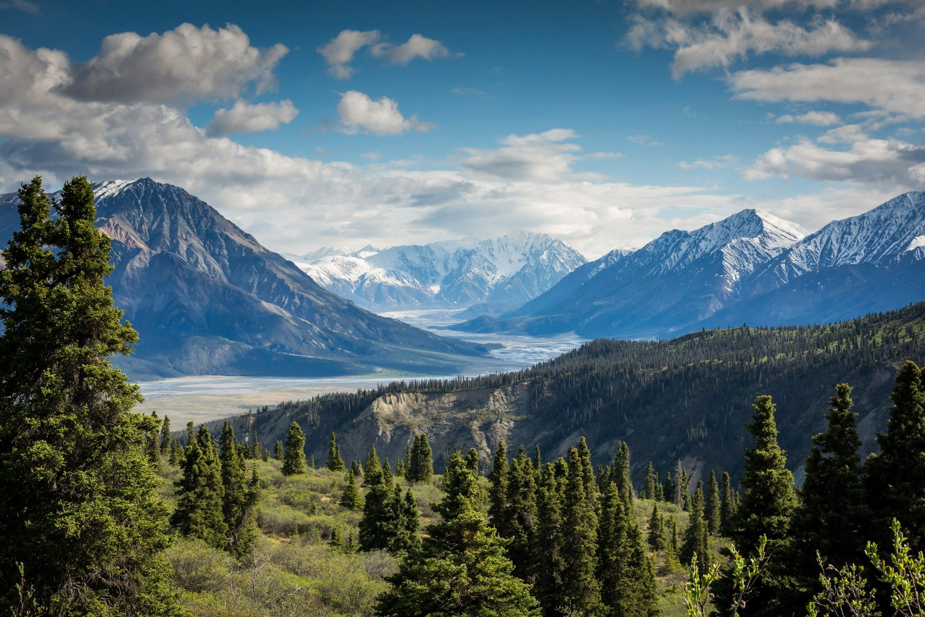 Mountain range and trees in a national park
